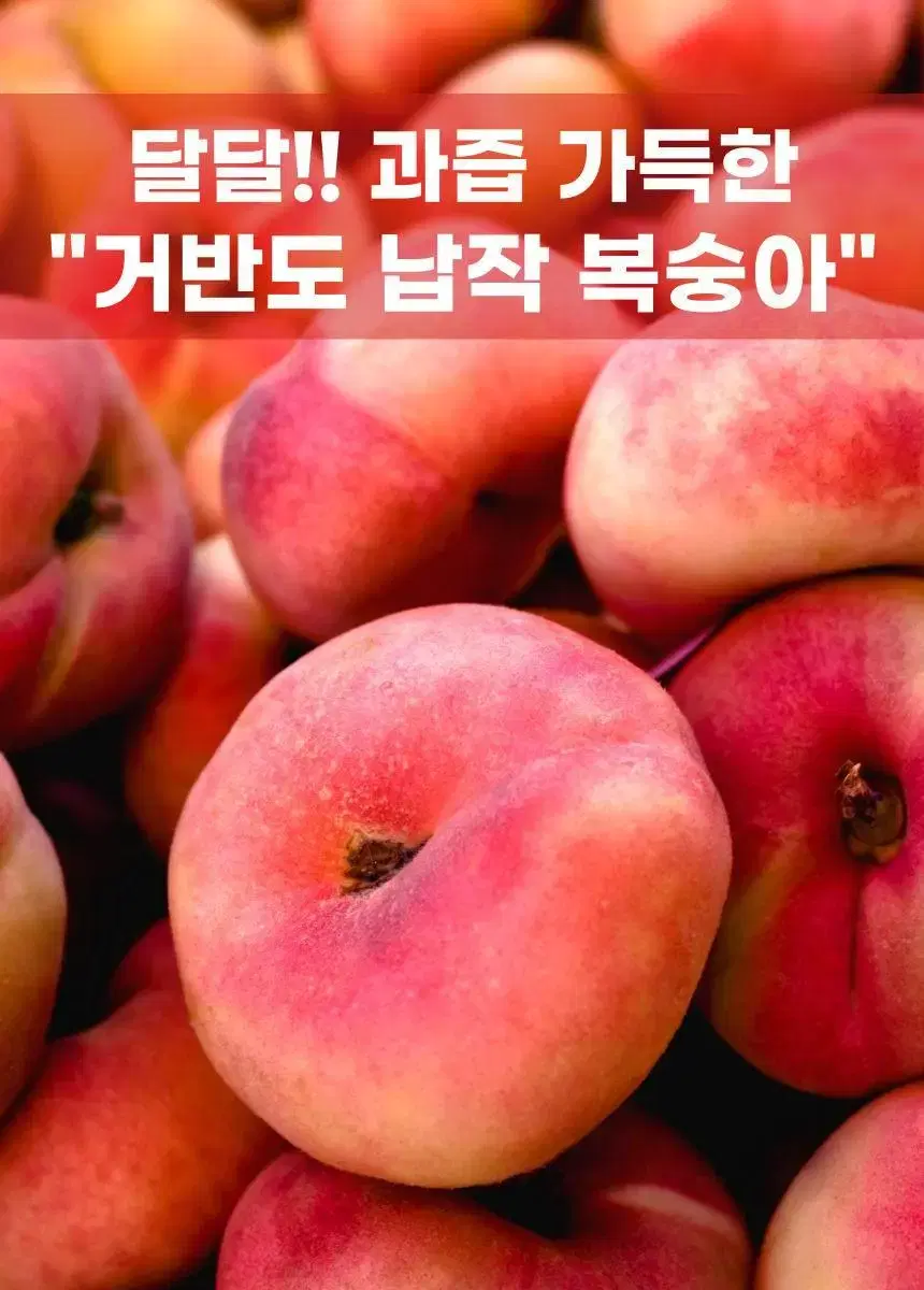 거반도 납작복숭아